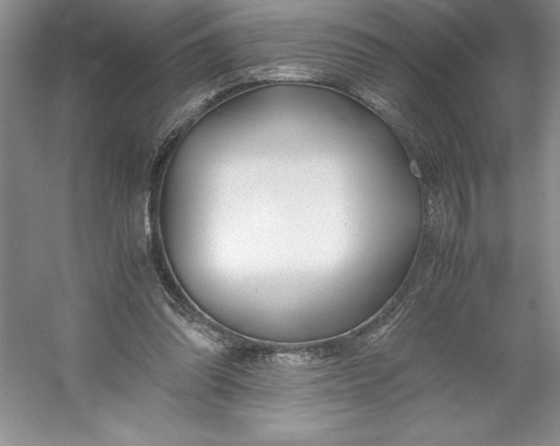 X0000053110302200507251704