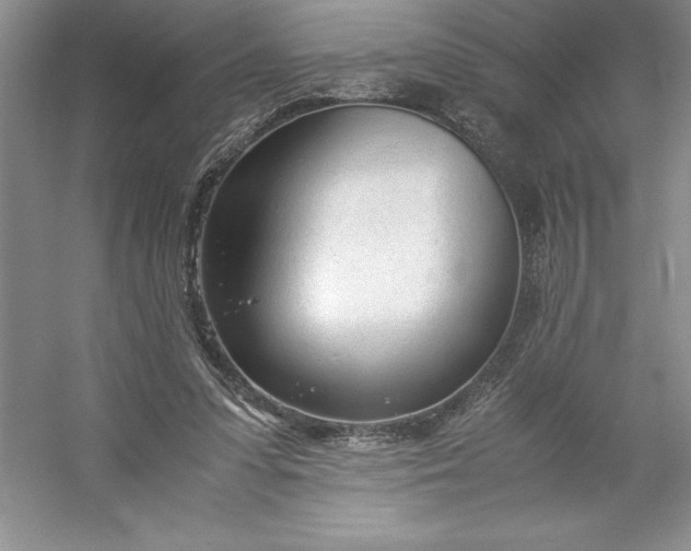 X0000053110303200507251704