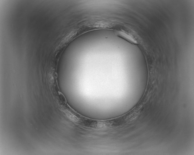 X0000053110305200507251704