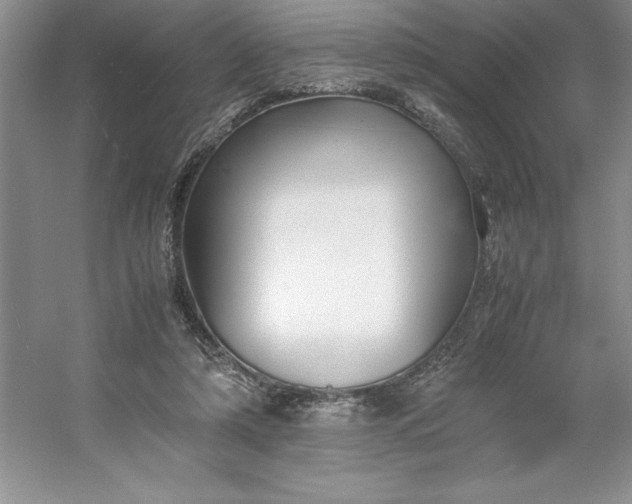 X0000053110306200507251704