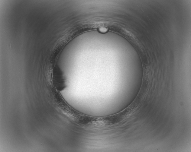 X0000053110307200507251704