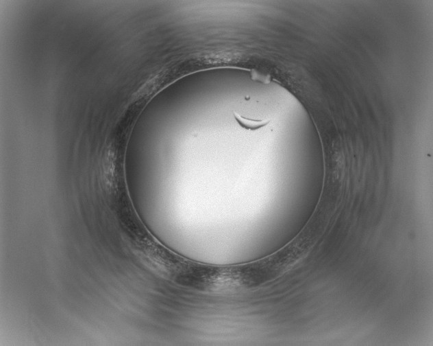 X0000053110308200507251704