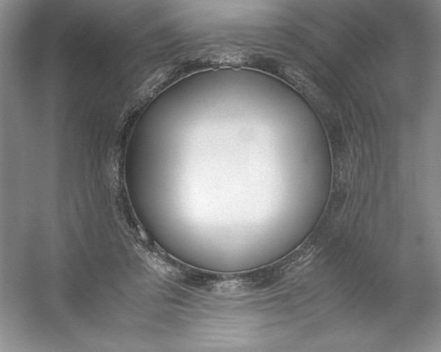 X0000053110309200507251704