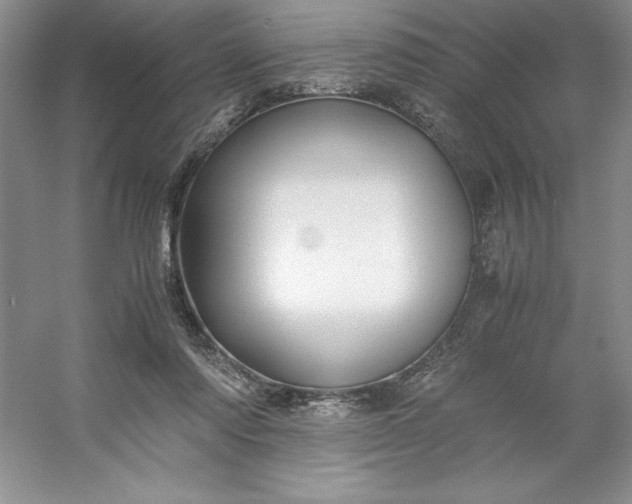 X0000053110310200507251704