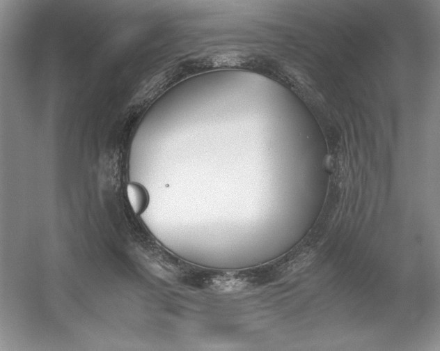 X0000053110311200507251704