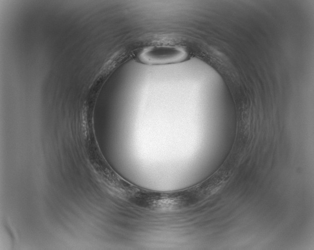 X0000053110312200507251704