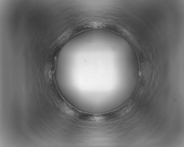 X0000053110313200507251704