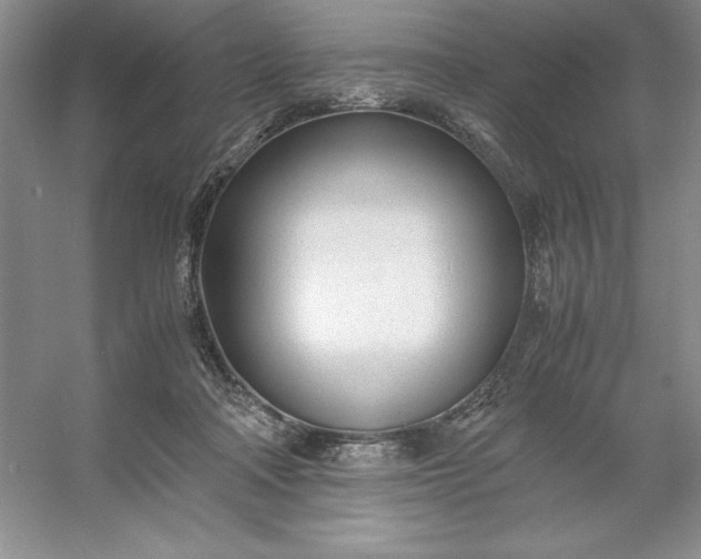 X0000053110314200507251704