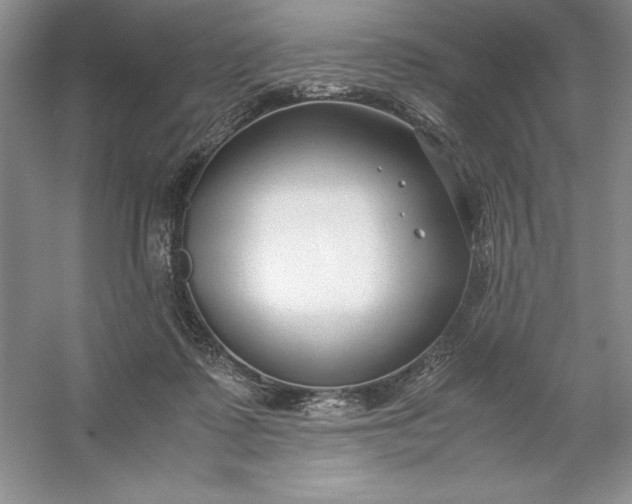 X0000053110315200507251704