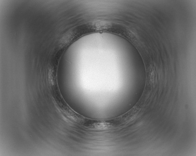 X0000053110316200507251704