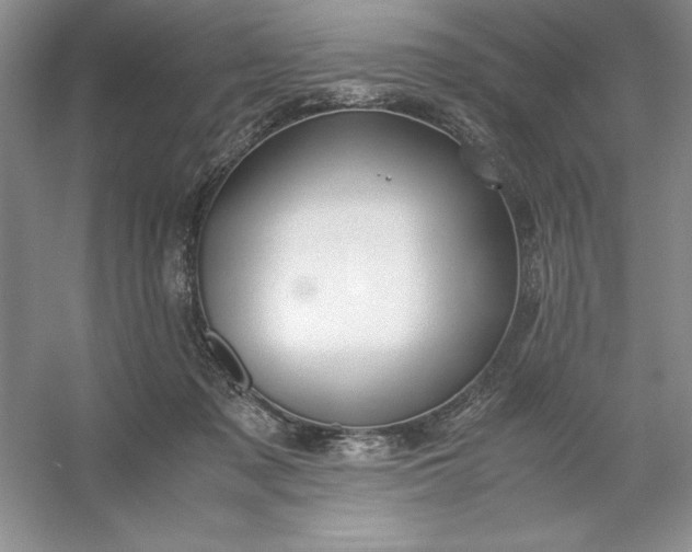 X0000053110317200507251704