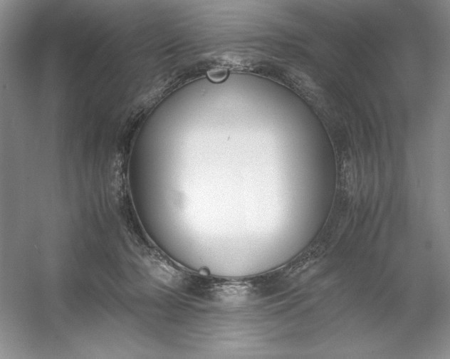 X0000053110318200507251704