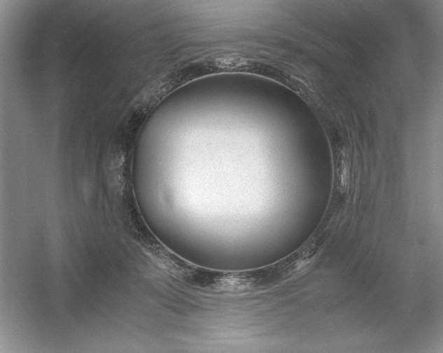 X0000053110319200507251704