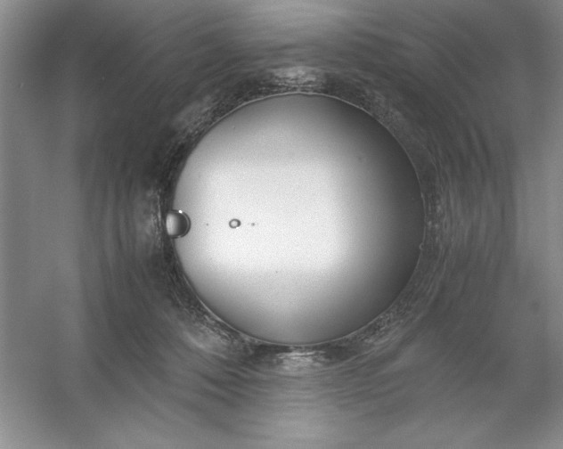 X0000053110320200507251704