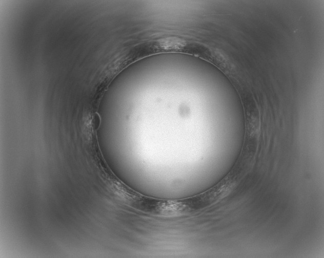 X0000053110321200507251704