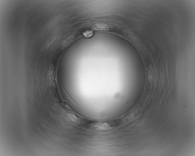 X0000053110322200507251704