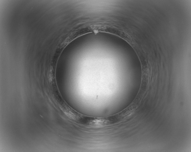 X0000053110323200507251703