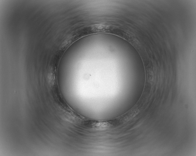 X0000053110324200507251703