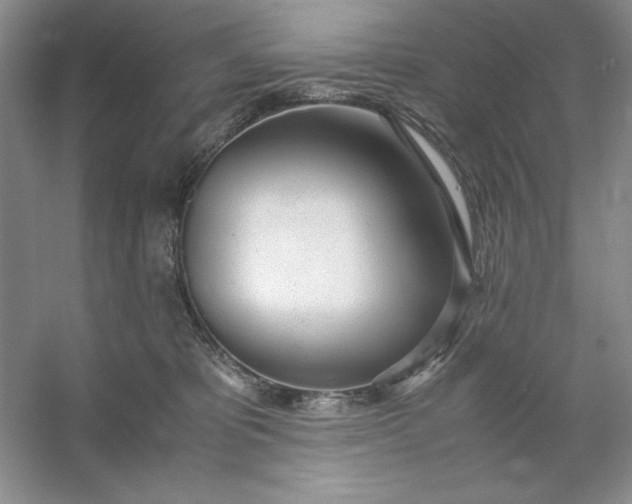 X0000053110325200507251703