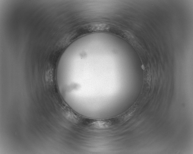 X0000053110326200507251703