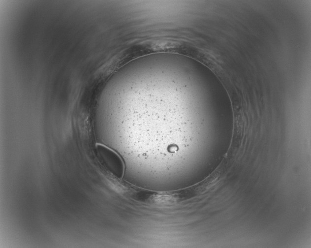 X0000053110327200507251703