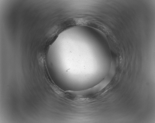 X0000053110329200507251703