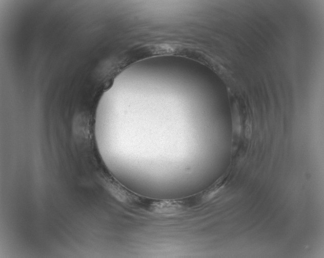 X0000053110331200507251703