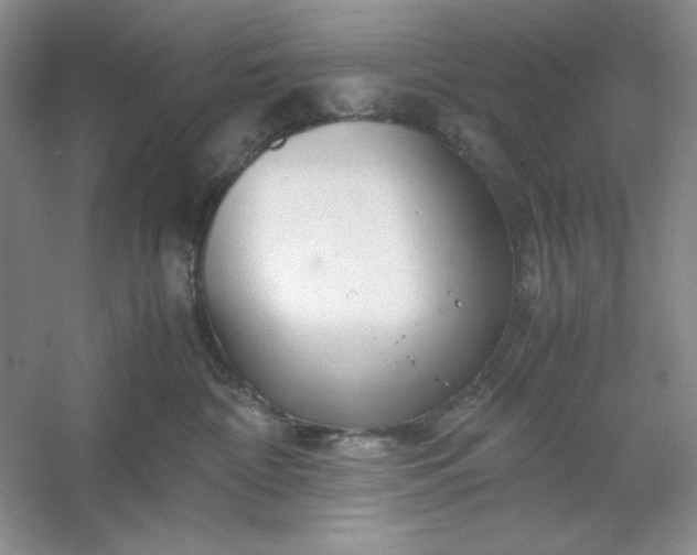 X0000053110332200507251703