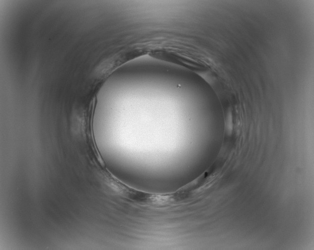 X0000053110333200507251703