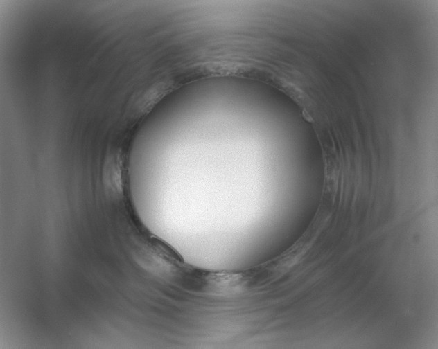 X0000053110334200507251703