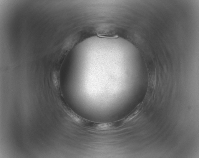 X0000053110335200507251703
