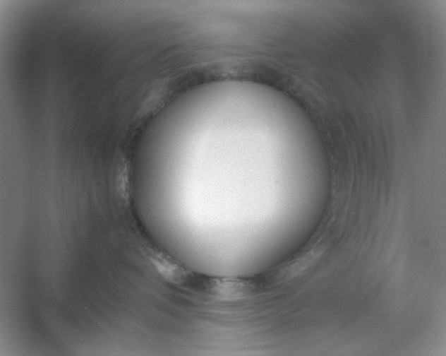 X0000053110336200507251703