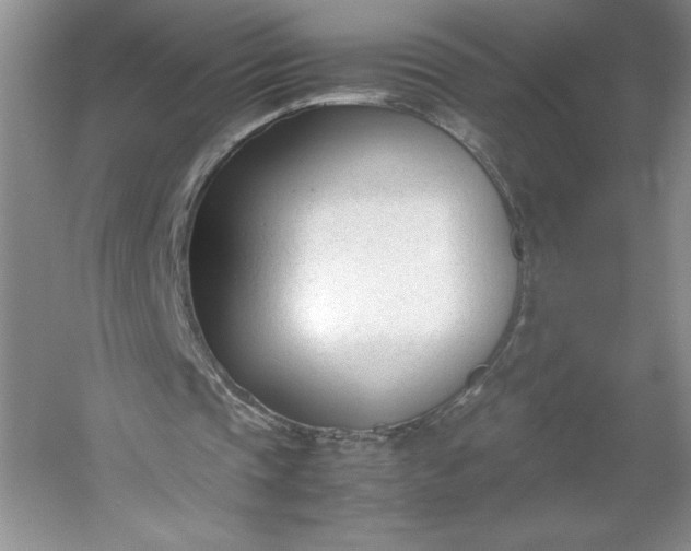 X0000053110337200507251702