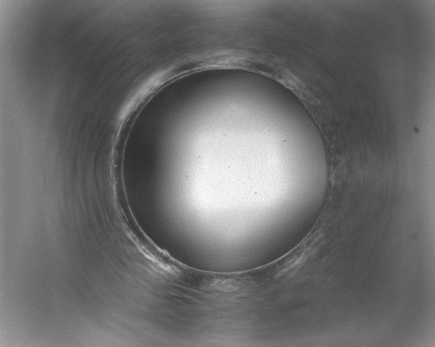 X0000053110341200507251703