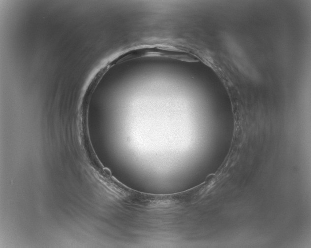 X0000053110342200507251703