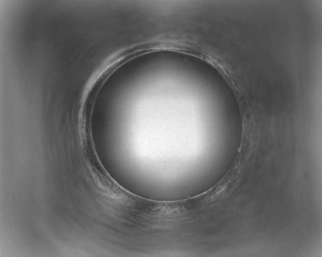 X0000053110343200507251703