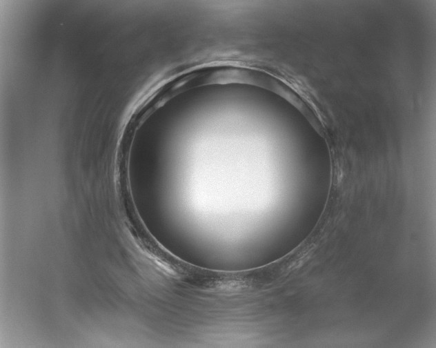 X0000053110344200507251703