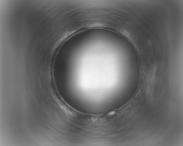 X0000053110345200507251703