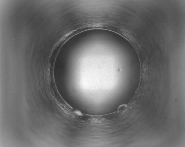 X0000053110346200507251703