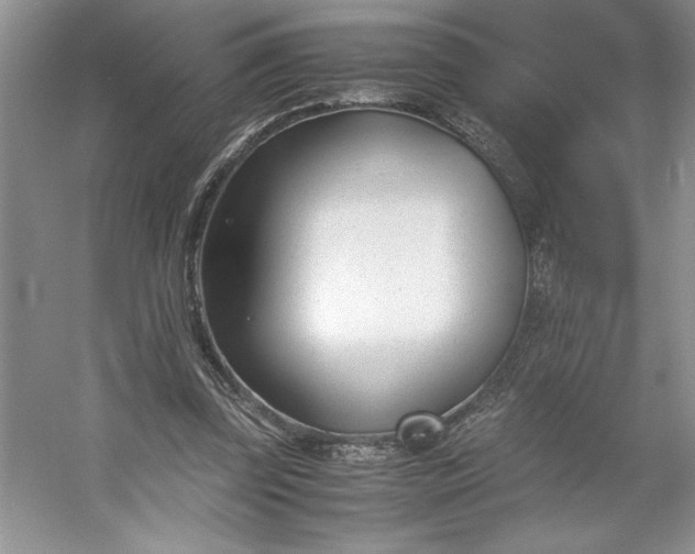 X0000053110347200507251703