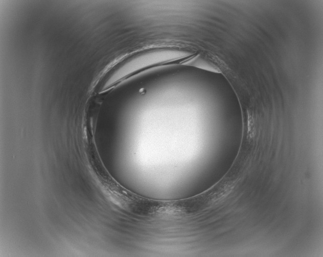 X0000053110348200507251703