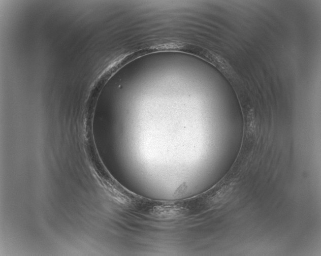 X0000053110351200507251703