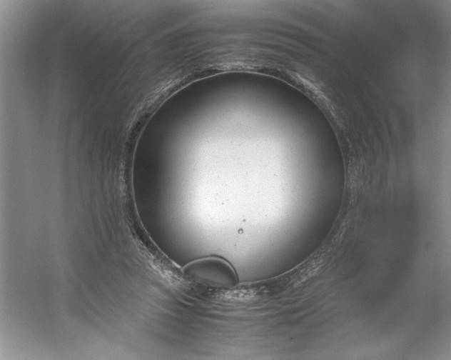 X0000053110353200507251703