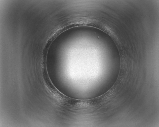 X0000053110354200507251703