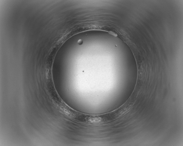 X0000053110355200507251703