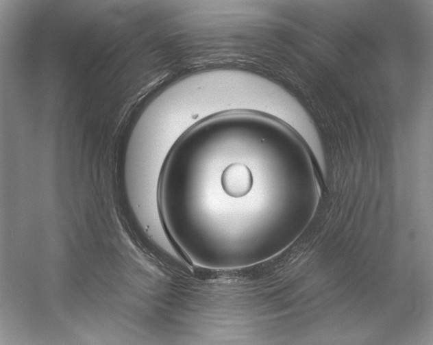 X0000053110356200507251703