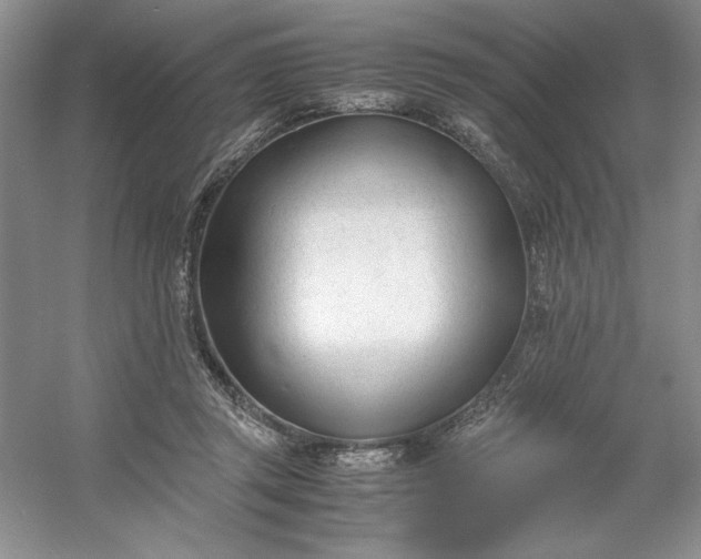 X0000053110357200507251703