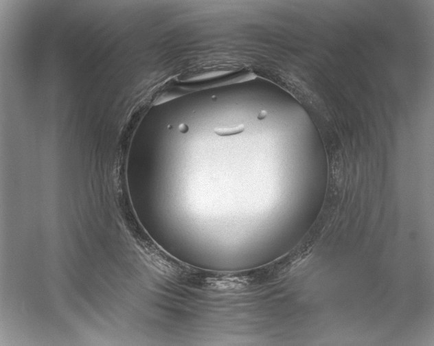 X0000053110359200507251703