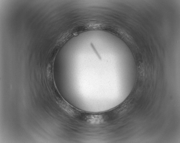 X0000053110361200507251703