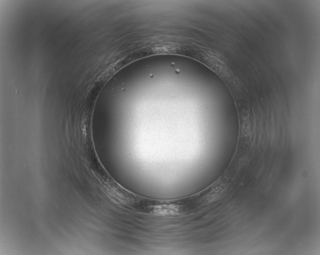 X0000053110363200507251703